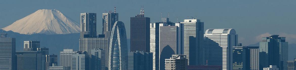 Business Project Support in Japan