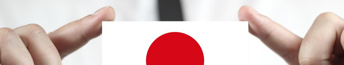 Japan Business Consulting